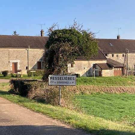 Longere Campagne 10 Pers. Proche Guedelon Villa Sougeres-en-Puisaye Eksteriør bilde