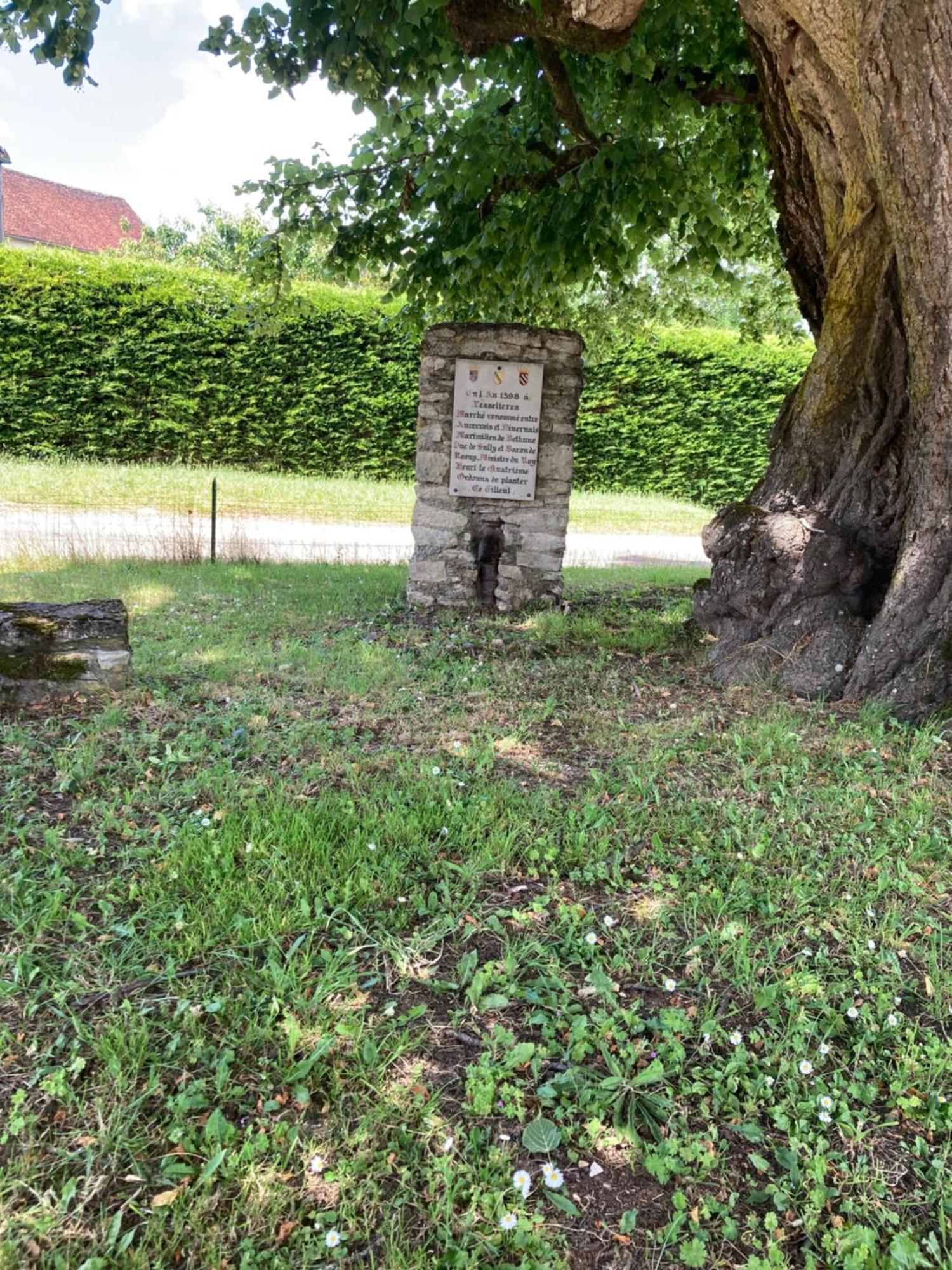 Longere Campagne 10 Pers. Proche Guedelon Villa Sougeres-en-Puisaye Eksteriør bilde